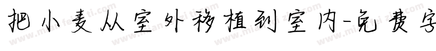 把小麦从室外移植到室内字体转换