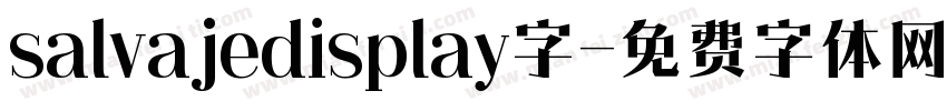 salvajedisplay字字体转换