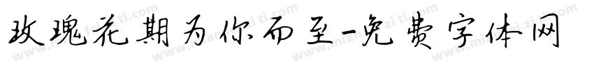 玫瑰花期为你而至字体转换