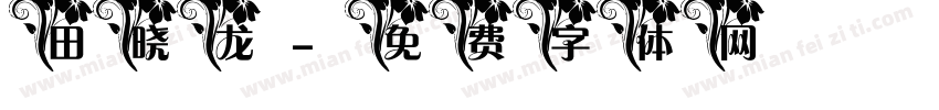 田晓龙字体转换