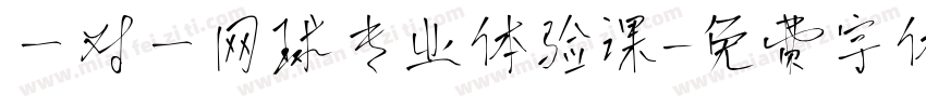 一对一网球专业体验课字体转换