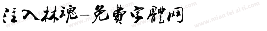 注入林魂字体转换