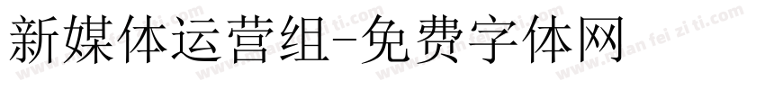 新媒体运营组字体转换