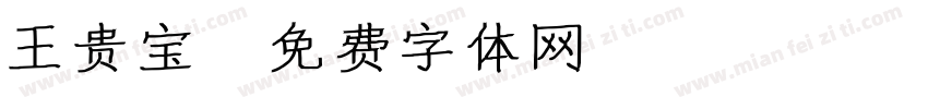 王贵宝字体转换