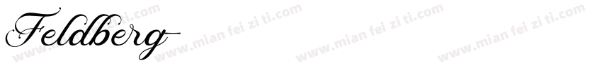 Feldberg字体转换