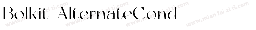 Bolkit-AlternateCond字体转换