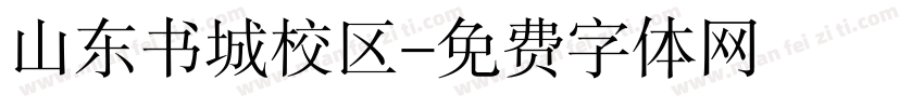 山东书城校区字体转换