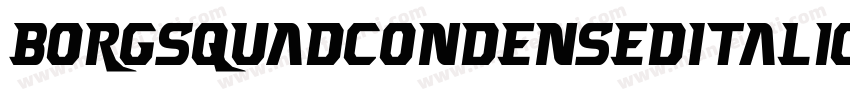 BorgsquadCondensedItalic-zZE1字体转换