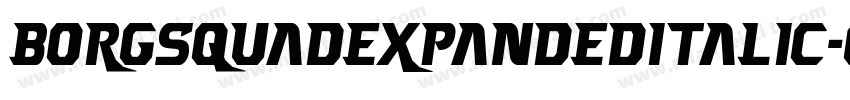 BorgsquadExpandedItalic-6qz6字体转换