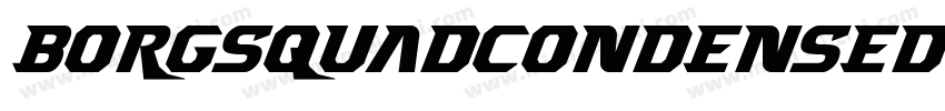 BorgsquadCondensedItalic-zZE1字体转换