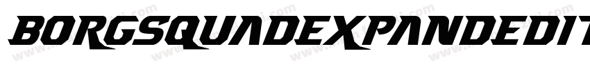 BorgsquadExpandedItalic-6qz6字体转换