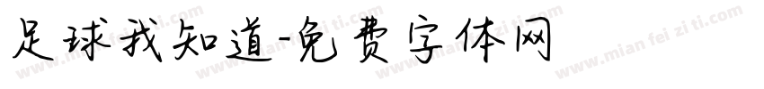 足球我知道字体转换