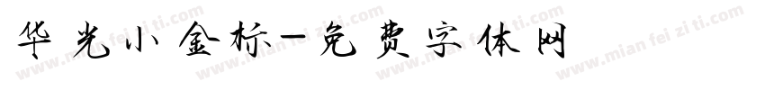 华光小金标字体转换