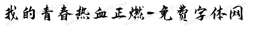我的青春热血正燃字体转换