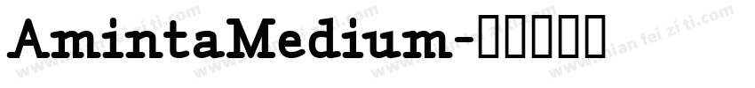 AmintaMedium字体转换