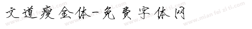 文道瘦金体字体转换