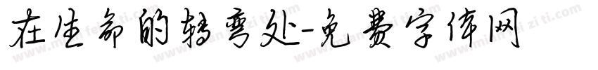 在生命的转弯处字体转换