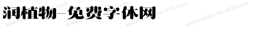 润植物字体转换