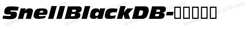 SnellBlackDB字体转换