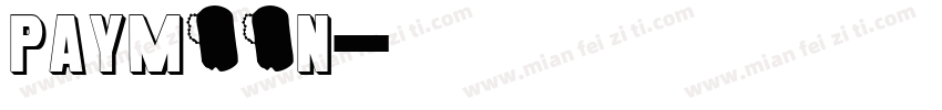 paymoon字体转换