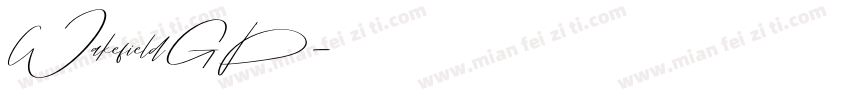 WakefieldGD字体转换