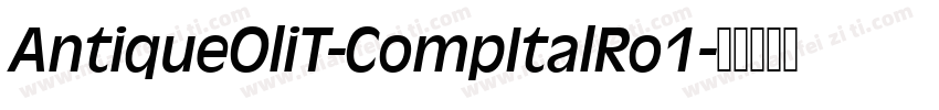 AntiqueOliT-CompItalRo1字体转换
