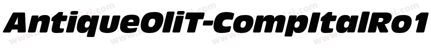 AntiqueOliT-CompItalRo1字体转换