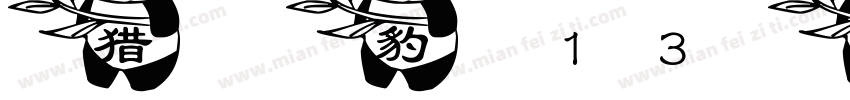 猎豹13号字体转换