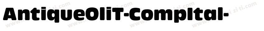 AntiqueOliT-CompItal字体转换