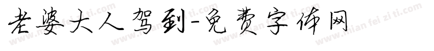 老婆大人驾到字体转换