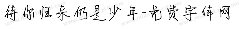 待你归来仍是少年字体转换