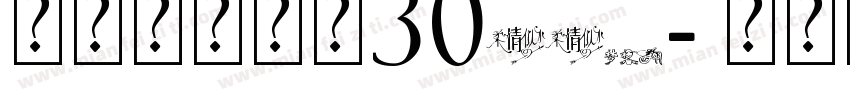 美字社颜黑体30TTF字体转换