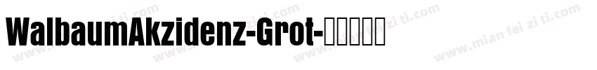 WalbaumAkzidenz-Grot字体转换