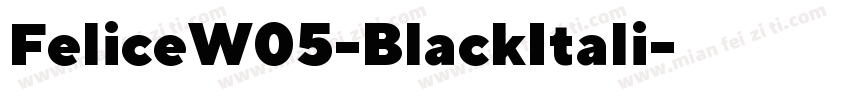 FeliceW05-BlackItali字体转换