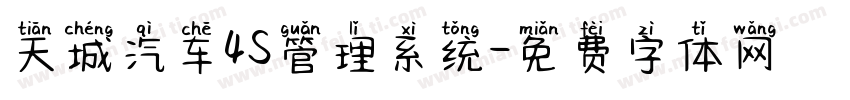 天城汽车4S管理系统字体转换