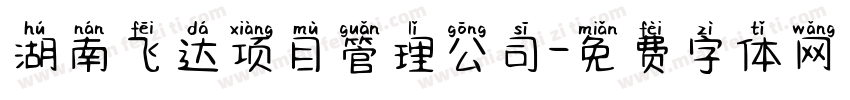 湖南飞达项目管理公司字体转换