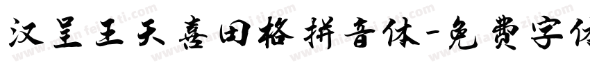 汉呈王天喜田格拼音体字体转换