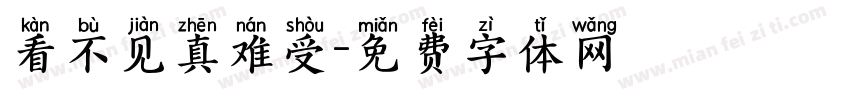 看不见真难受字体转换