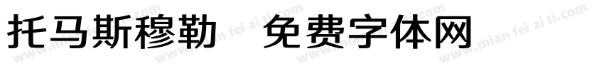 托马斯穆勒字体转换