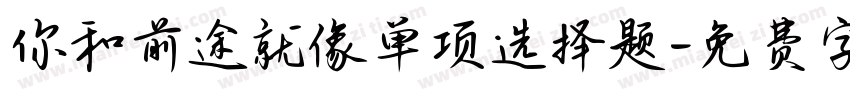 你和前途就像单项选择题字体转换