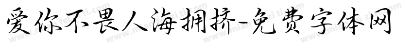 爱你不畏人海拥挤字体转换