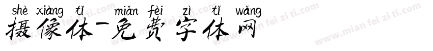摄像体字体转换
