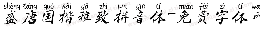 盛唐国楷雅致拼音体字体转换