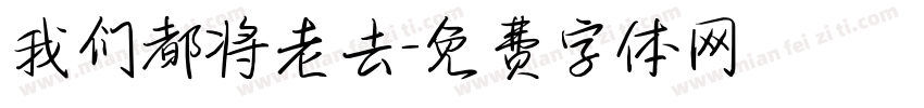 我们都将老去字体转换