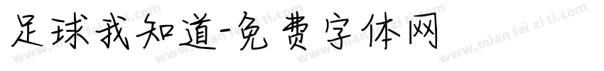足球我知道字体转换