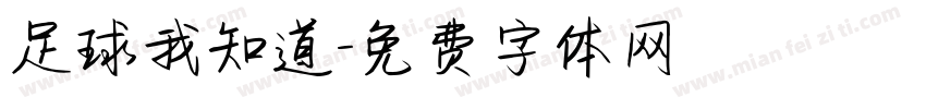 足球我知道字体转换