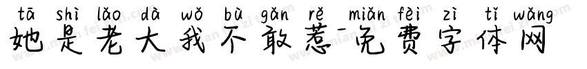 她是老大我不敢惹字体转换