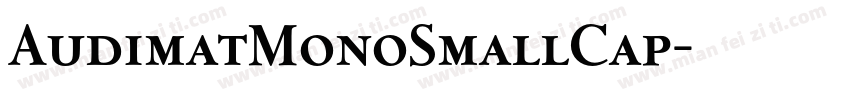 AudimatMonoSmallCap字体转换