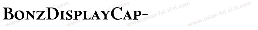 BonzDisplayCap字体转换