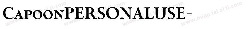 CapoonPERSONALUSE字体转换